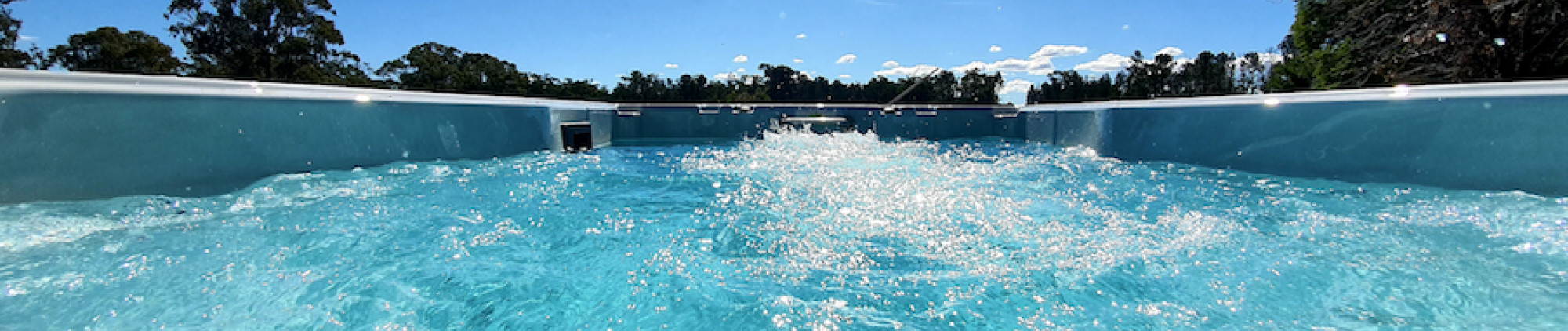 wellington swimming pool